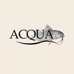 Logo Acqua